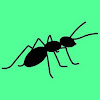 Ant animation (Ant giant)